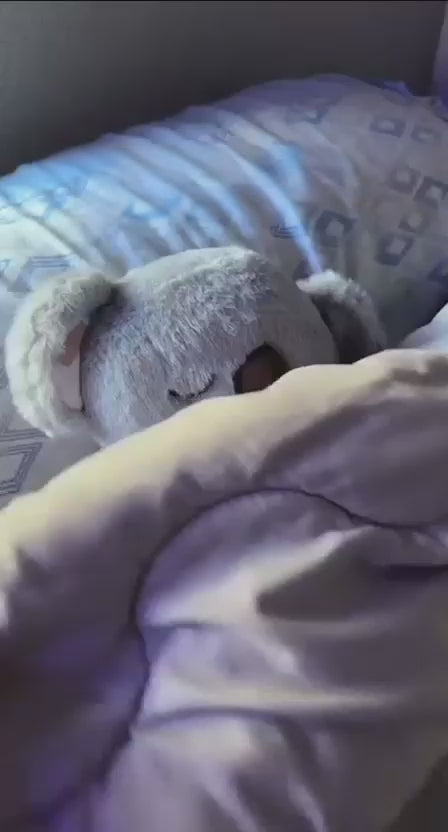 Peluche de Koala Anti Estrés